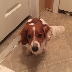 Meet your Posher, Eleina